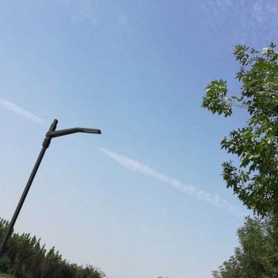 青蛙的梦幻乐园手机版下载